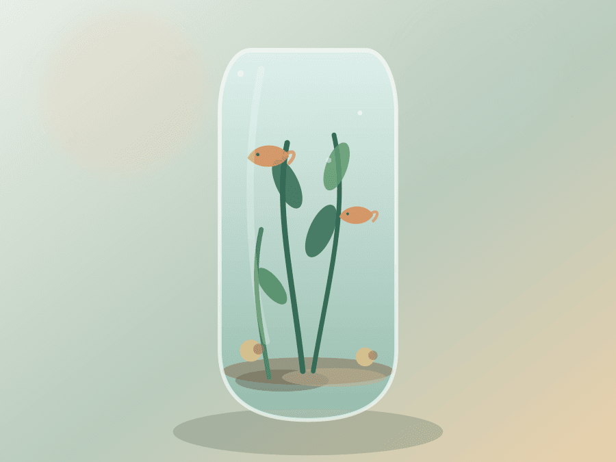 Large Zen Jarden product image