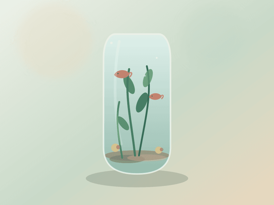 Medium Zen Jarden product image