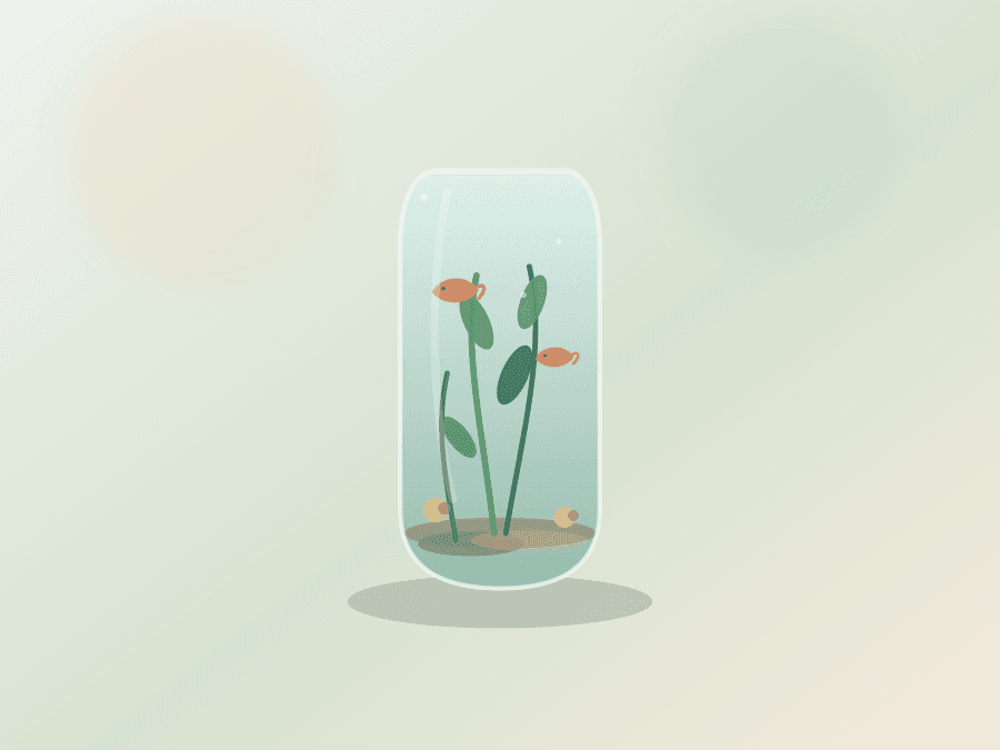 Small Zen Jarden product image